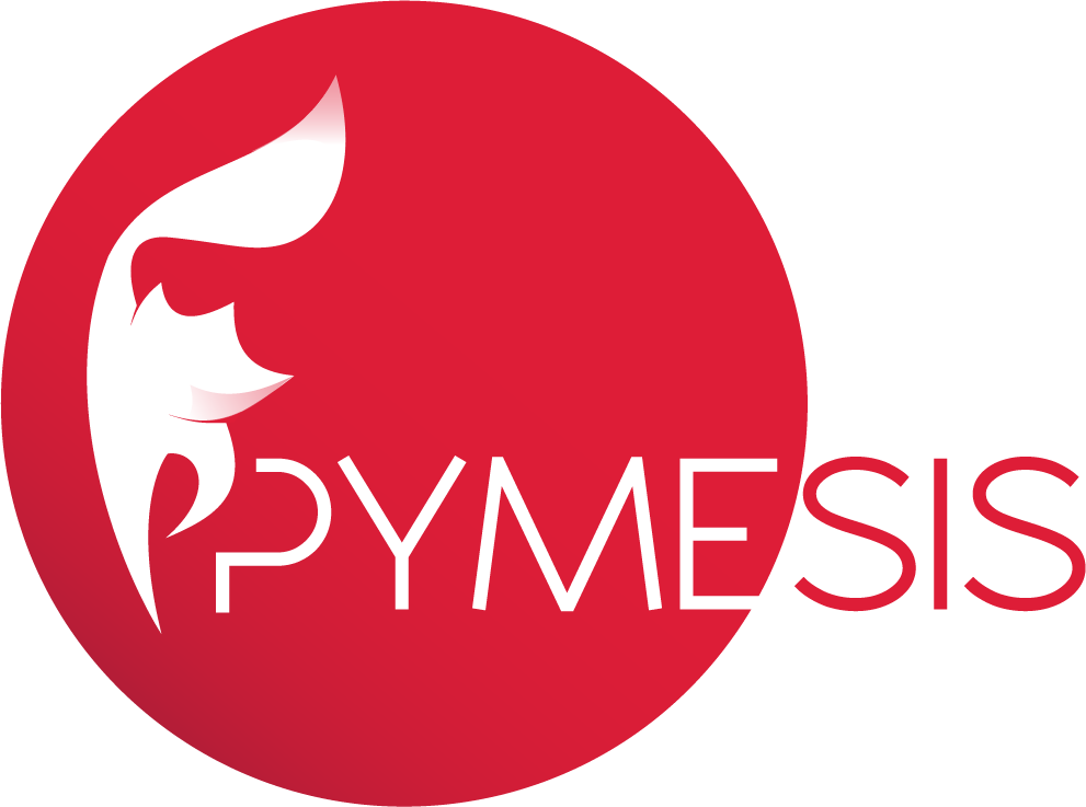 Software de gestión empresarial | PYMESIS Systems